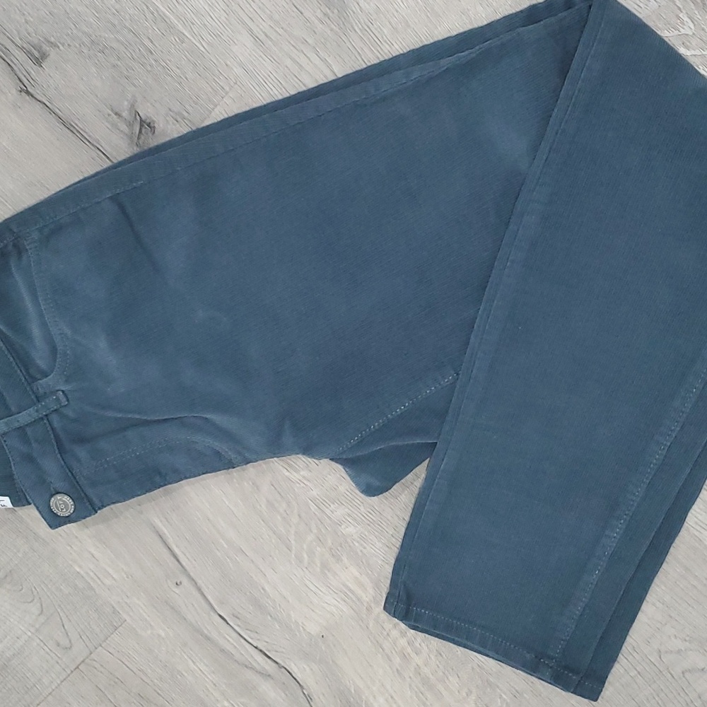 LOFT Dark Teal Modern Preppy Skinny Jeans – Sleek Modern Fit, Size 27/4